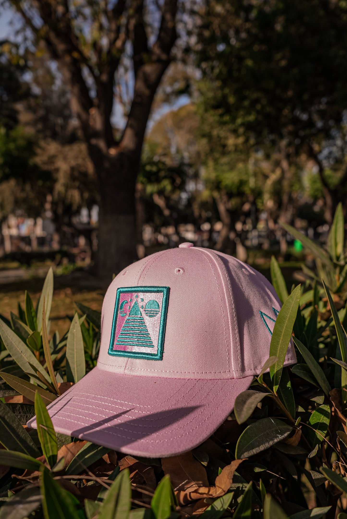NND Pink Snapback